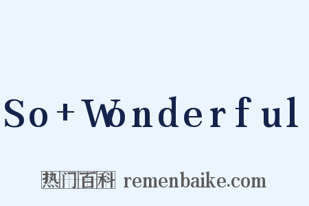 So+Wonderful是什么意思的图片